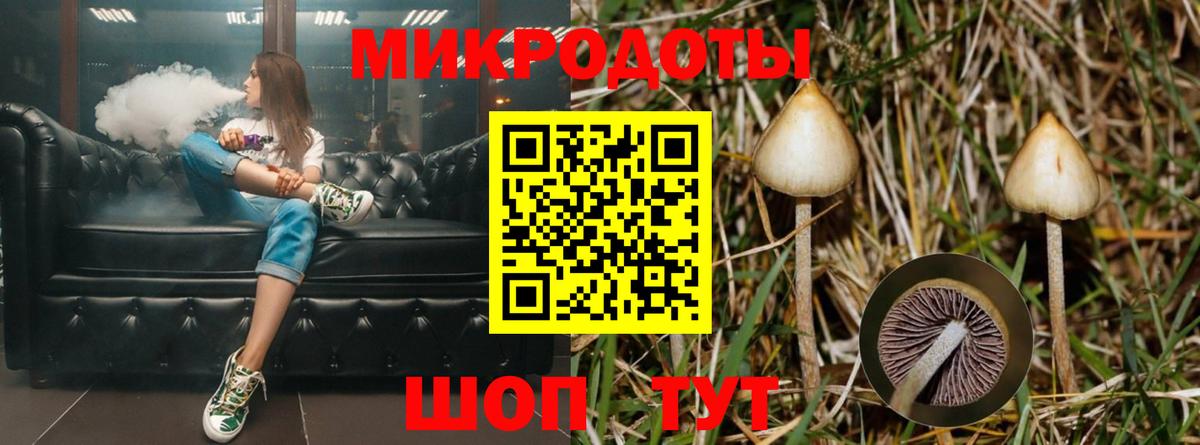 Бийск  Псилоцибиновые грибы MAGIC MUSHROOMS  купить  сайты  Вход с VPN  Псилоцибиновые грибы MAGIC MUSHROOMS 